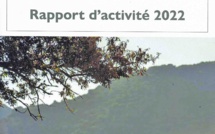 L'activité de l'ODARC