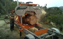 Les AAP en cours forêt-bois