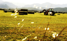 Réhabilitation du domaine de Migliacciaru Réhabilitation du domaine de Migliacciaru