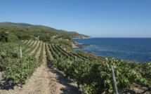Viticulture Viticulture