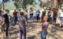 Organisation de journées d’études consacrées à l’Agroforesterie