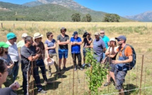 Journées d’études consacrées à l’Agroforesterie