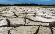 Sécheresse : La Haute-Corse placée en alerte renforcée 