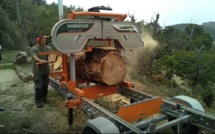 Appel à Projet investissements des entreprises filières bois. 