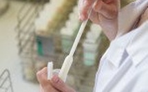 La qualité du lait de brebis corse
